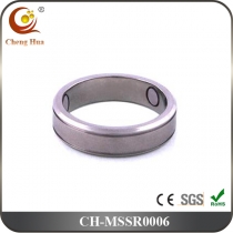 Stainless Steel & Titanium Magnetic Ring MSSR0006