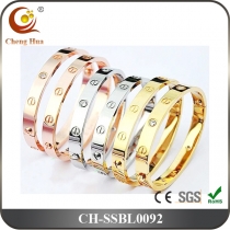 Stainless Steel & Titanium Bangle SSBL0092