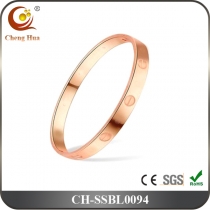 Stainless Steel & Titanium Bangle SSBL0094