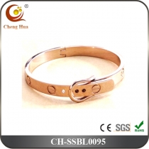 Stainless Steel & Titanium Bangle SSBL0095