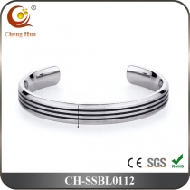 Stainless Steel & Titanium Bangle SSBL0112