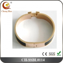 Stainless Steel & Titanium Bangle SSBL0114