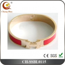 Stainless Steel & Titanium Bangle SSBL0115