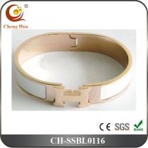 Stainless Steel & Titanium Bangle SSBL0116