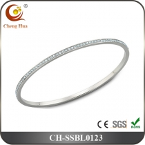 Stainless Steel & Titanium Bangle SSBL0123