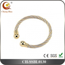 Stainless Steel & Titanium Bangle SSBL0130