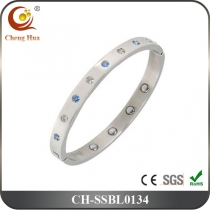 Stainless Steel & Titanium Bangle SSBL0134