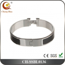 Stainless Steel & Titanium Bangle SSBL0136