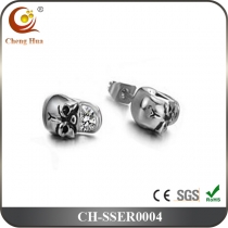 Stainless Steel & Titanium Earring SSER0004