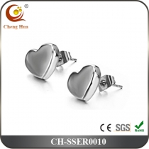 Stainless Steel & Titanium Earring SSER0010