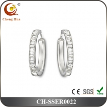 Stainless Steel & Titanium Earring SSER0022