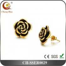 Stainless Steel & Titanium Earring SSER0029