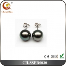 Stainless Steel & Titanium Earring SSER0030