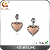 Stainless Steel & Titanium Earring SSER0032