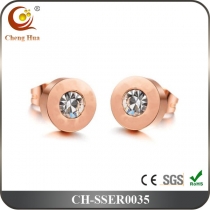 Stainless Steel & Titanium Earring SSER0035