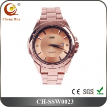 Stainless Steel Watch SSW0023
