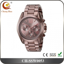 Stainless Steel Watch SSW0053